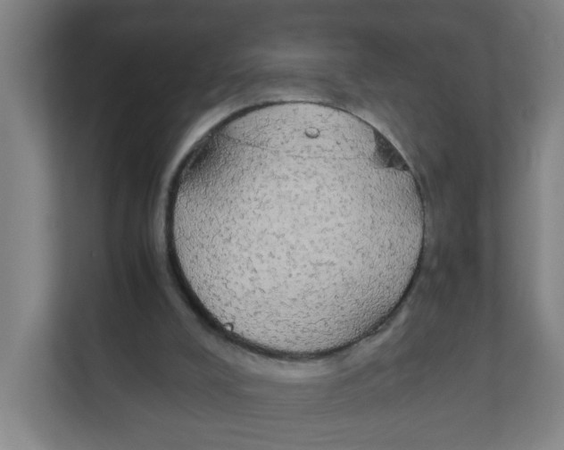 X0000111860008200908201307