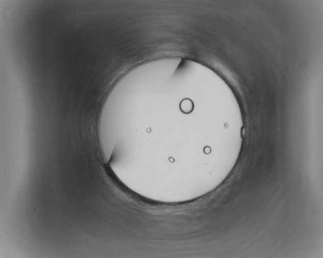 X0000111860009200908201307