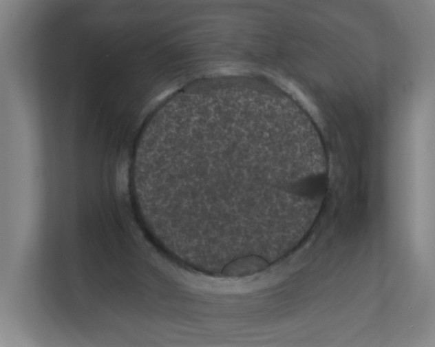 X0000111860010200908201307