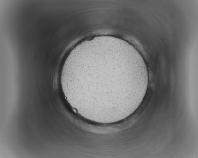X0000111860012200908201307