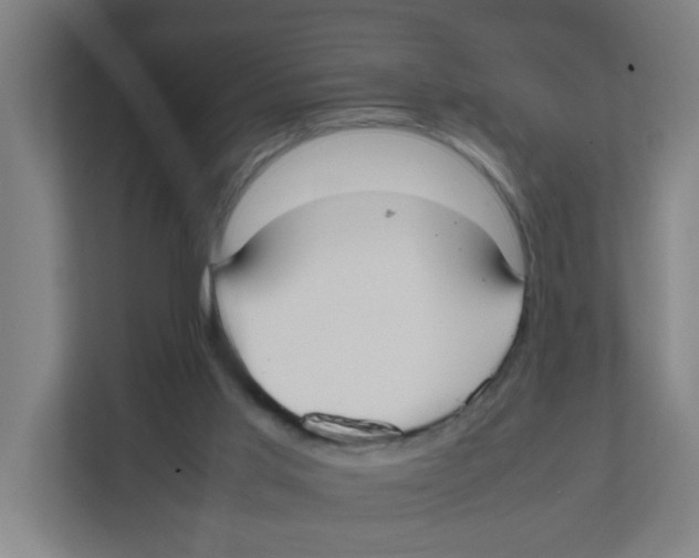 X0000111860013200908201307