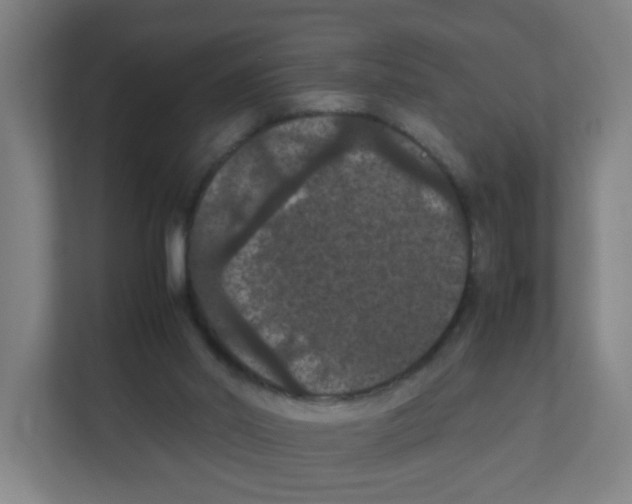 X0000111860014200908201307