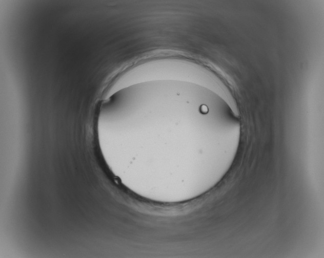 X0000111860015200908201307