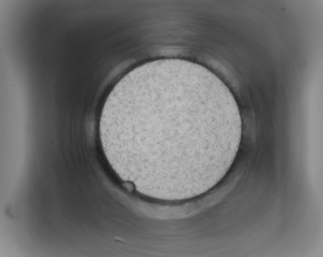 X0000111860016200908201307