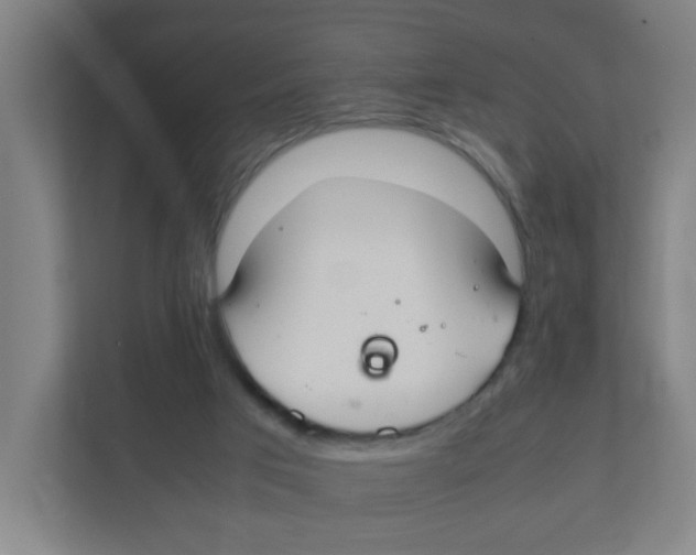 X0000111860017200908201307