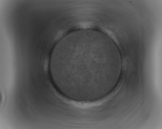X0000111860018200908201307