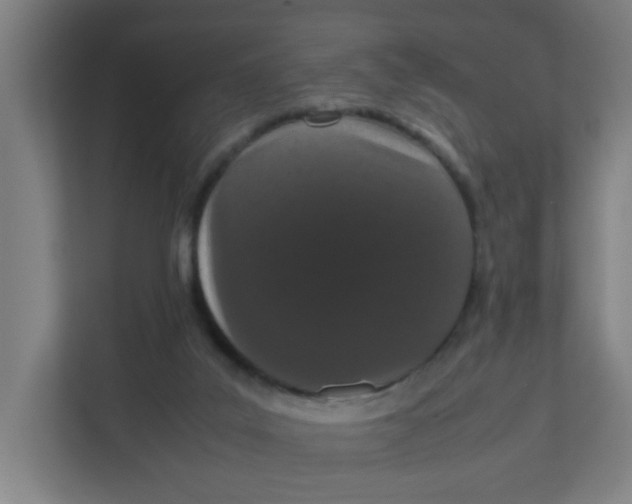 X0000111860019200908201307