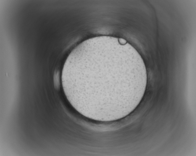 X0000111860020200908201307