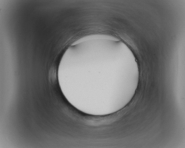 X0000111860021200908201307