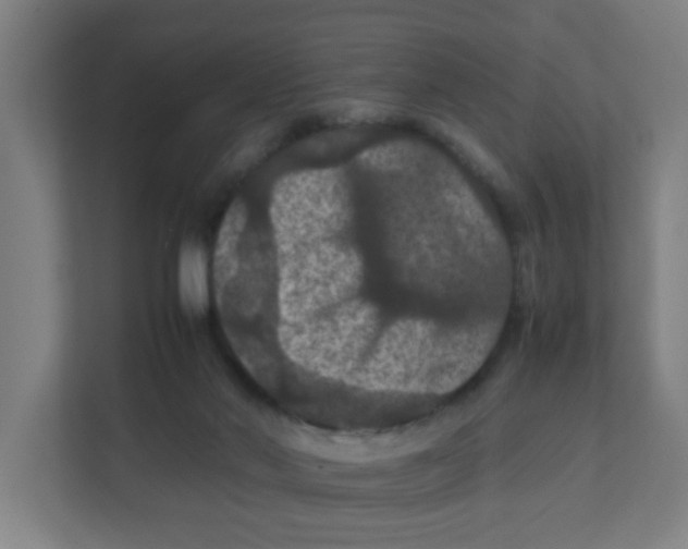 X0000111860022200908201307