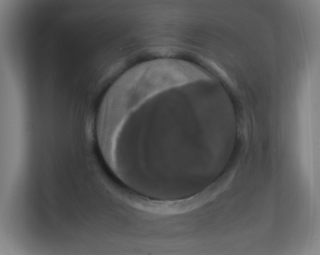 X0000111860023200908201307