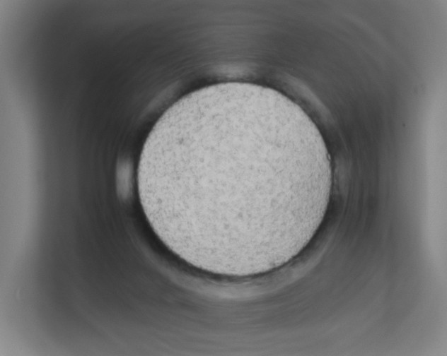 X0000111860024200908201307