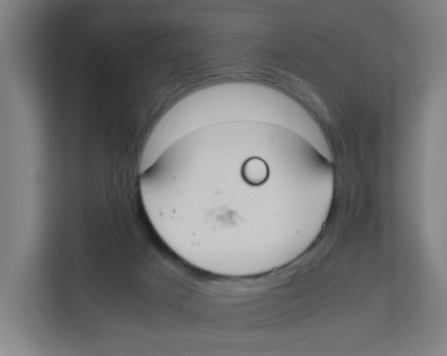 X0000111860025200908201307