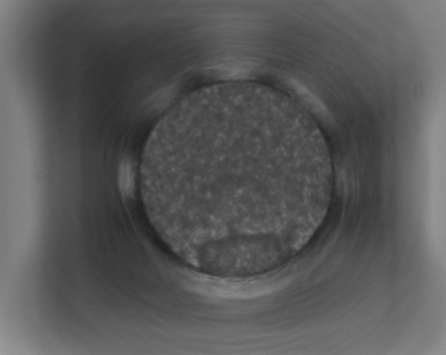 X0000111860026200908201307