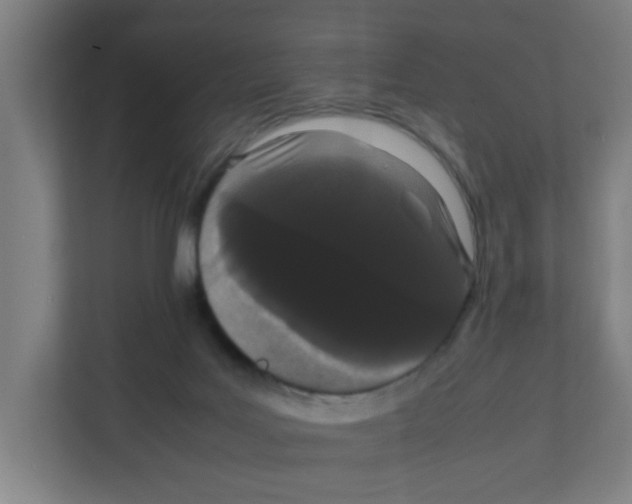 X0000111860027200908201307