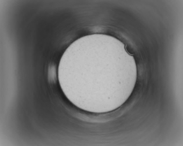 X0000111860028200908201307