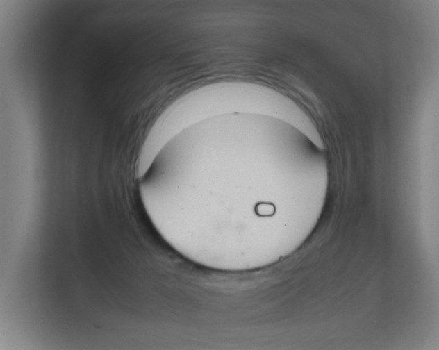 X0000111860029200908201307