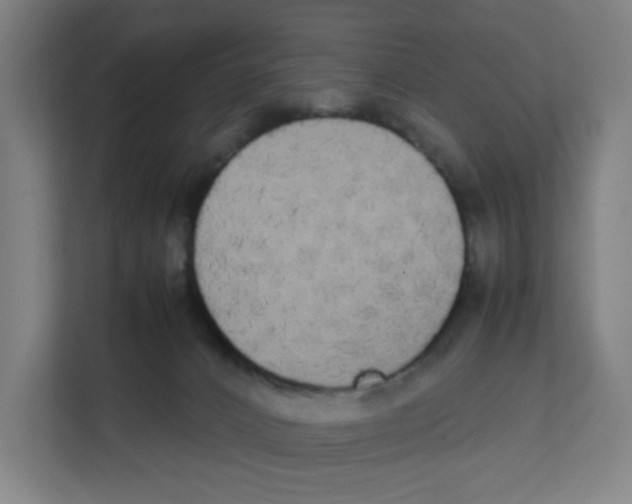 X0000111860032200908201306