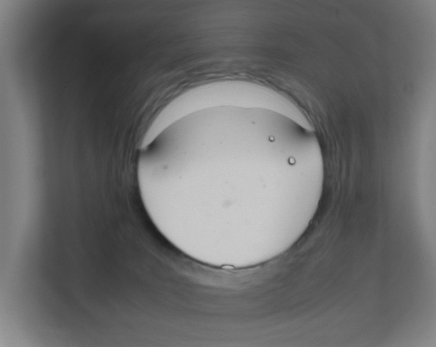 X0000111860035200908201306