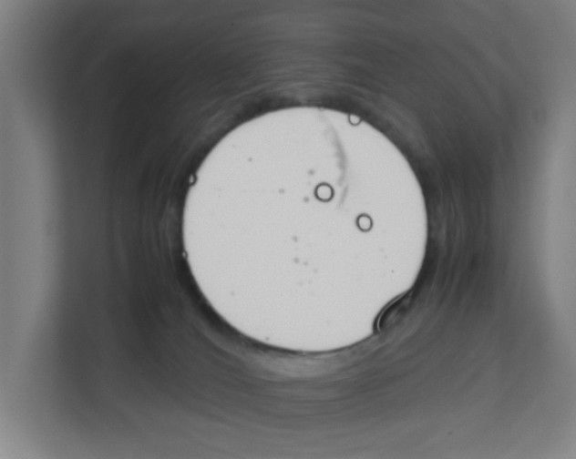X0000111860036200908201306