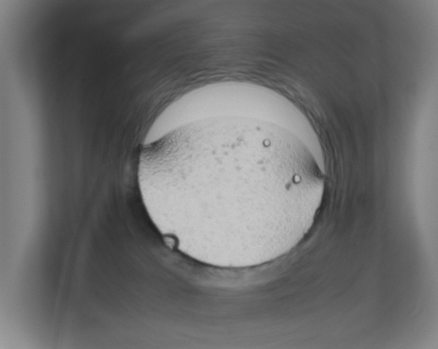 X0000111860037200908201306