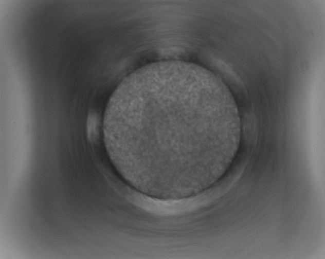 X0000111860038200908201306