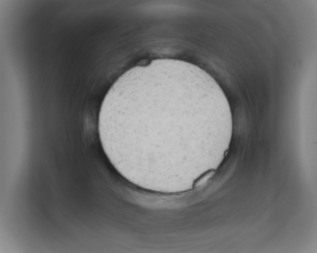 X0000111860040200908201306
