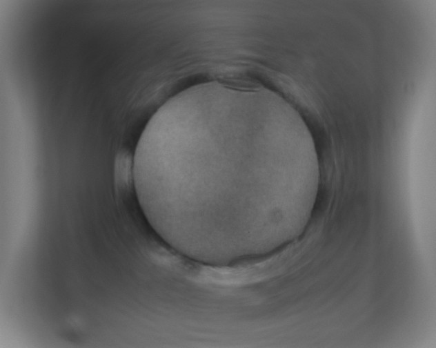 X0000111860041200908201306