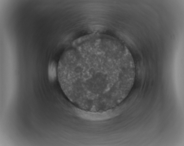 X0000111860042200908201306