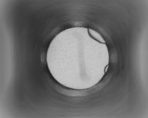 X0000111860044200908201306