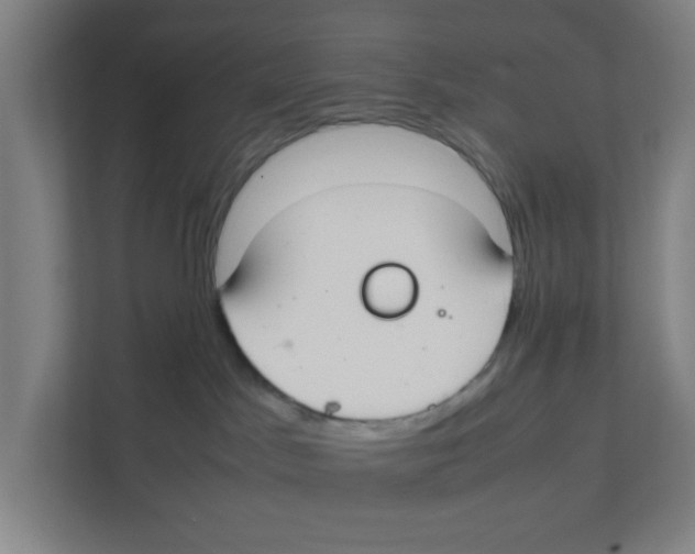 X0000111860045200908201306