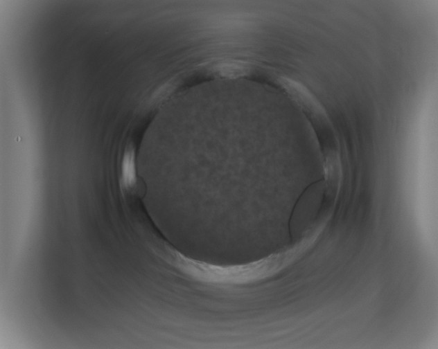 X0000111860046200908201306