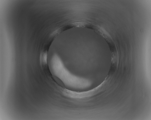 X0000111860047200908201306