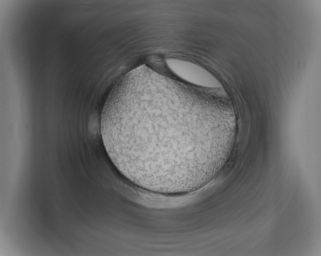 X0000111860048200908201306