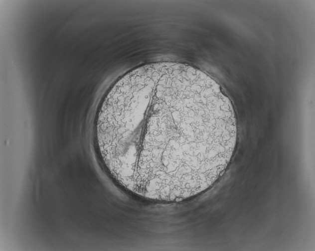 X0000111860049200908201306