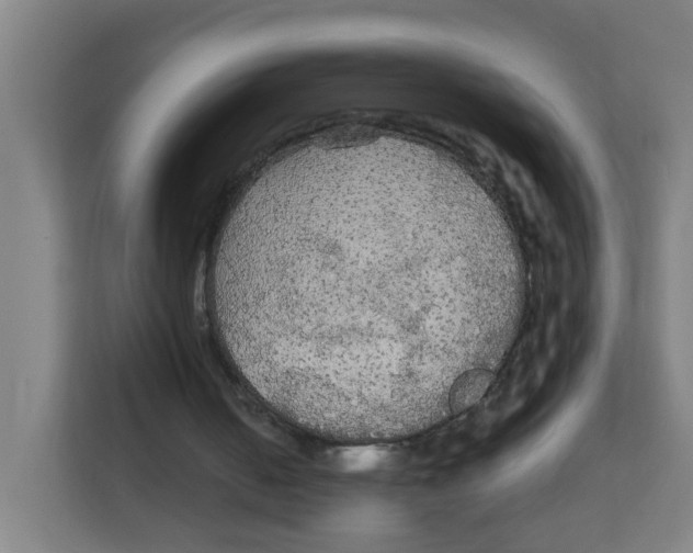 X0000111860050200908201306