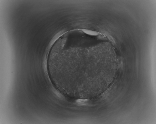 X0000111860051200908201306