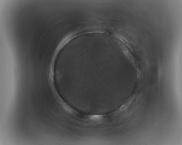 X0000111860053200908201306