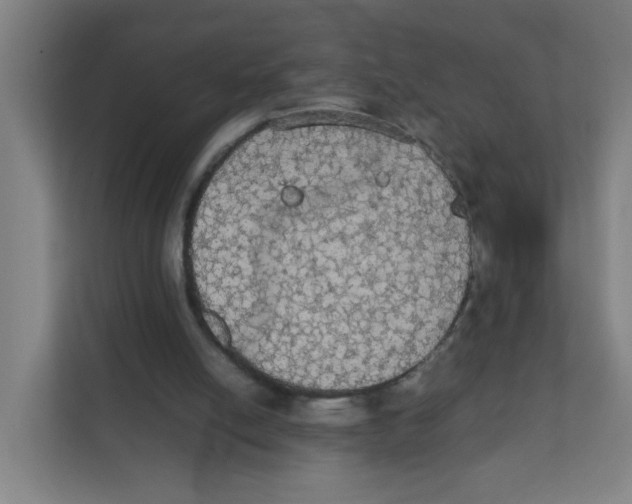 X0000111860054200908201306