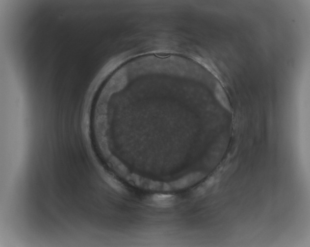 X0000111860055200908201306
