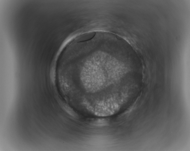 X0000111860056200908201306