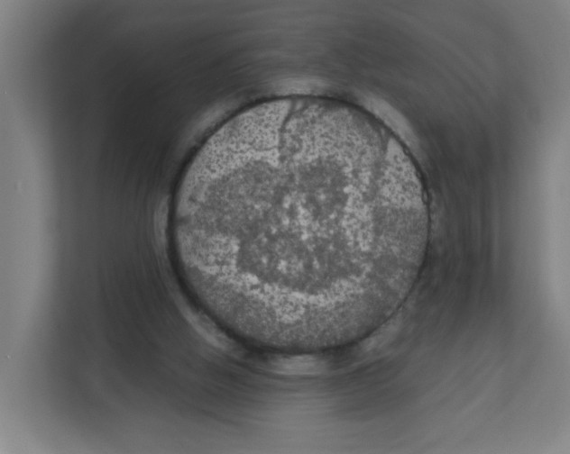 X0000111860058200908201306