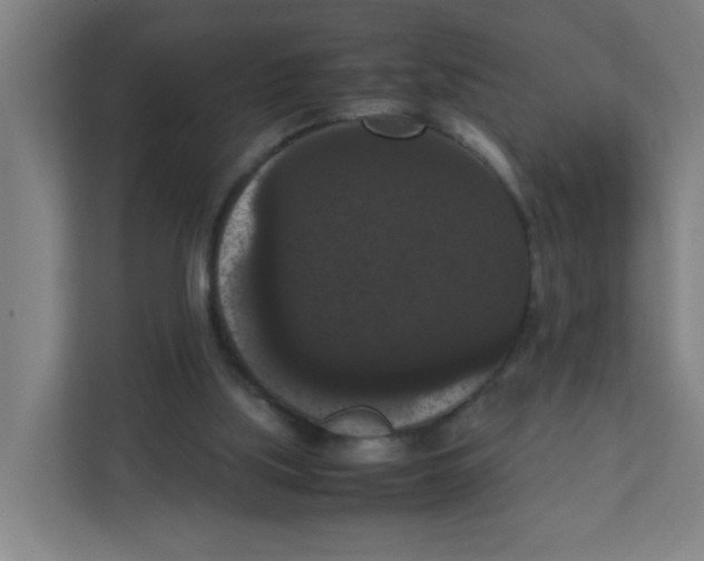 X0000111860059200908201306
