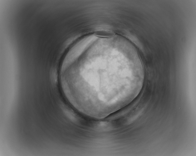 X0000111860060200908201306