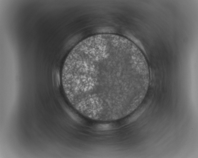 X0000111860061200908201306