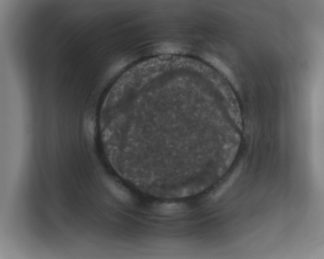 X0000111860063200908201306