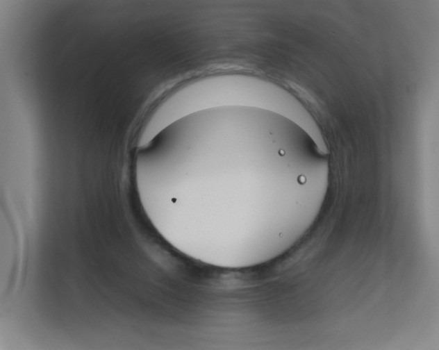 X0000111860064200908201306