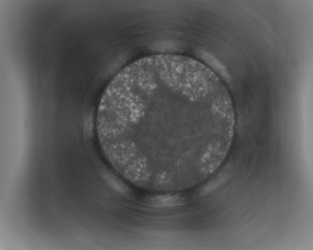 X0000111860065200908201306