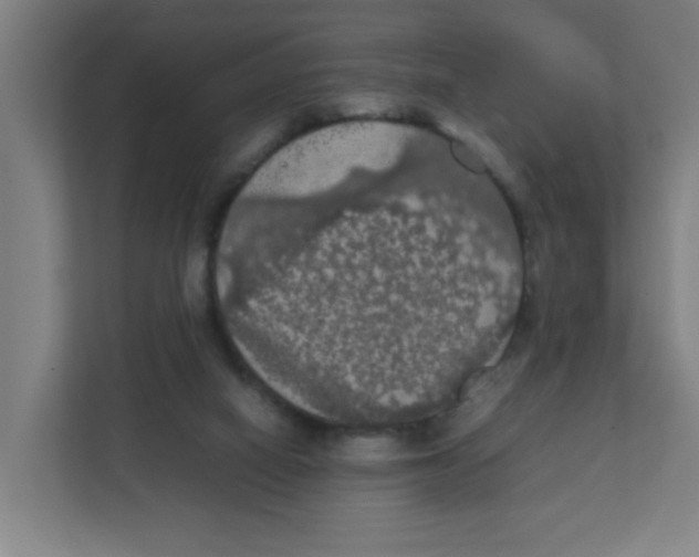 X0000111860066200908201306