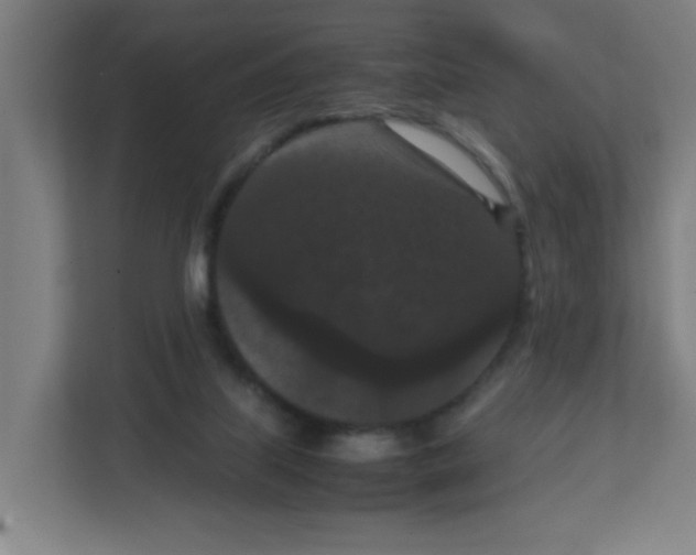 X0000111860067200908201306